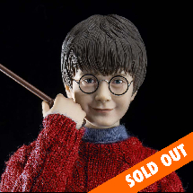 HARRY POTTER (CASUAL WEAR)